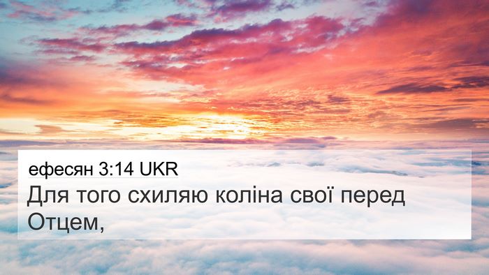 ефесян 3:14 UKR Bible Verse Image