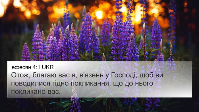 ефесян 4:1 UKR 4K Wallpaper - Отож, благаю вас я, в'язень - 4K Wallpaper Bible Verse