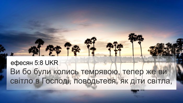 ефесян 5:8 UKR Bible Verse Image