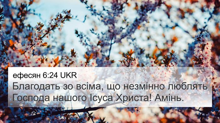 ефесян 6:24 UKR Bible Verse Image