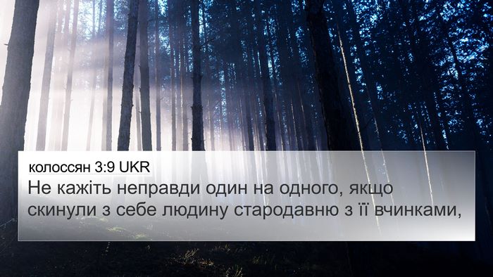 колоссян 3:9 UKR Bible Verse Image