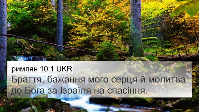 римлян 10:1 UKR Bible Verse Image