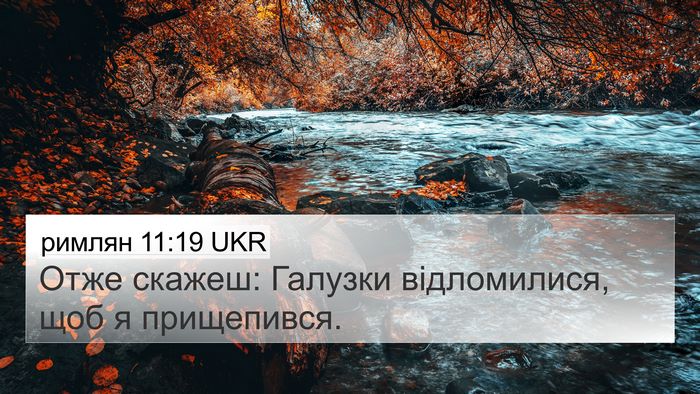 римлян 11:19 UKR Bible Verse Image
