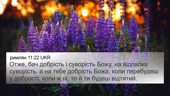 римлян 11:22 UKR Bible Verse Image