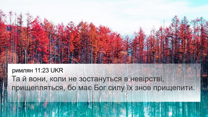 римлян 11:23 UKR Bible Verse Image
