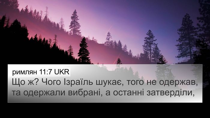 римлян 11:7 UKR Bible Verse Image
