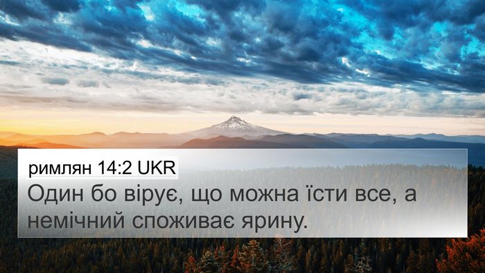 римлян 14:2 UKR Bible Verse Image
