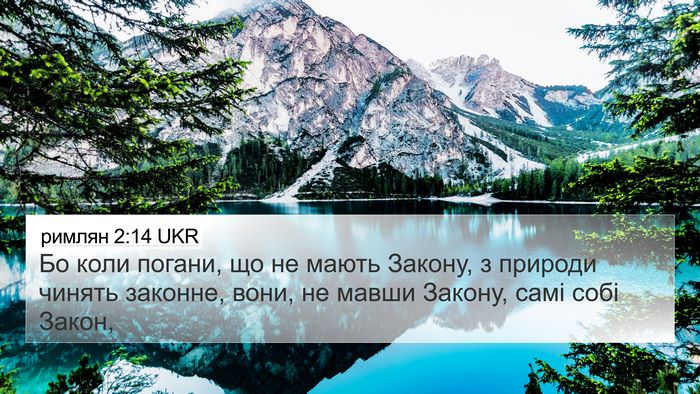 римлян 2:14 UKR Bible Verse Image
