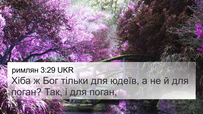 римлян 3:29 UKR Bible Verse Image
