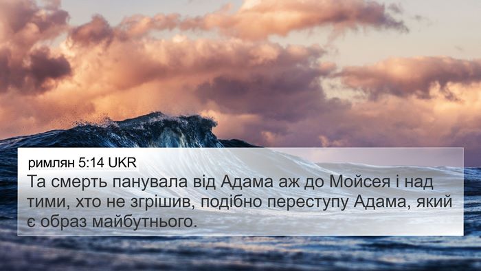 римлян 5:14 UKR Bible Verse Image