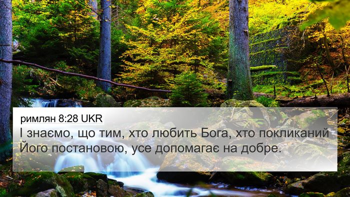 римлян 8:28 UKR Bible Verse Image