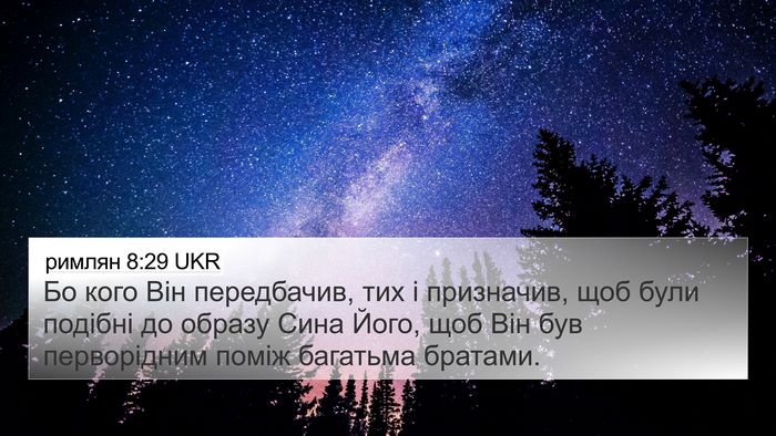 римлян 8:29 UKR Bible Verse Image