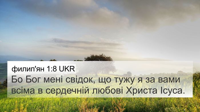 филип'ян 1:8 UKR Bible Verse Image