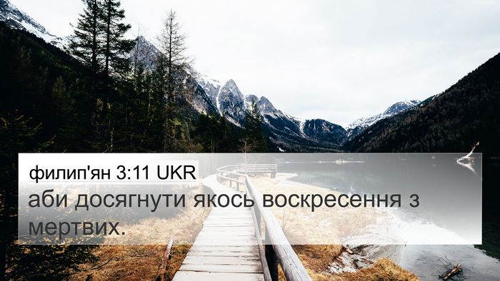 филип'ян 3:11 UKR 4K Wallpaper - аби досягнути якось - 4K Wallpaper Bible Verse