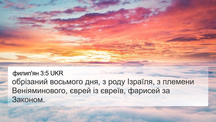 филип'ян 3:5 UKR Bible Verse Image