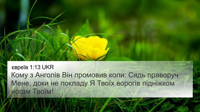 євреїв 1:13 UKR Bible Verse Image