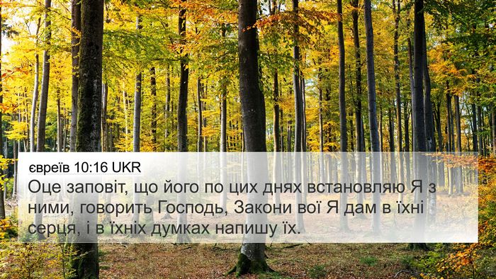 євреїв 10:16 UKR Bible Verse Image