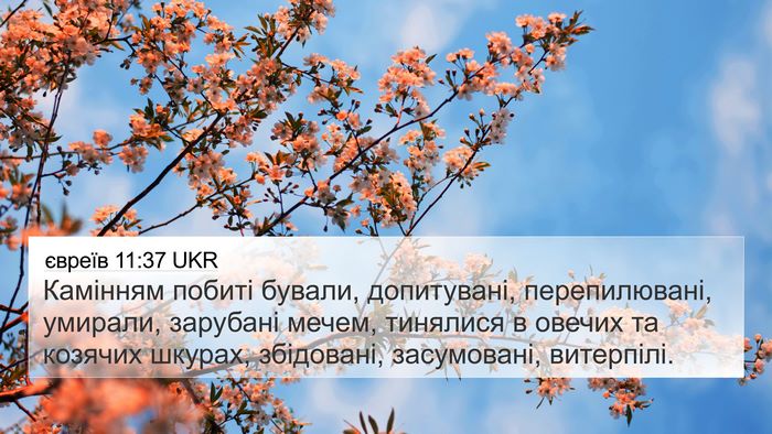 євреїв 11:37 UKR Bible Verse Image
