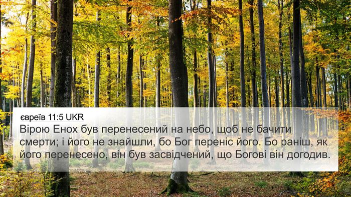 євреїв 11:5 UKR Bible Verse Image
