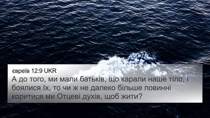 євреїв 12:9 UKR Bible Verse Image