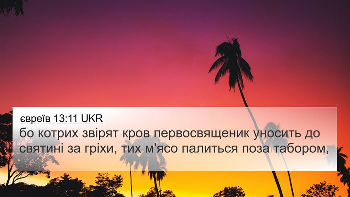 євреїв 13:11 UKR Bible Verse Image