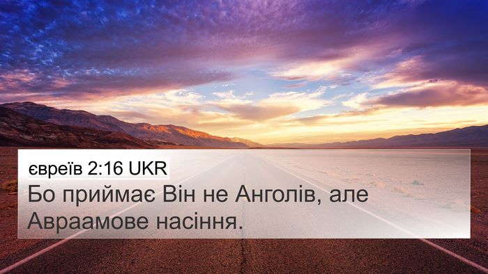 євреїв 2:16 UKR 4K Wallpaper - Бо приймає Він не Анголів, - 4K Wallpaper Bible Verse