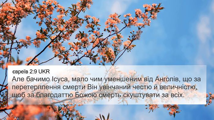 євреїв 2:9 UKR Bible Verse Image