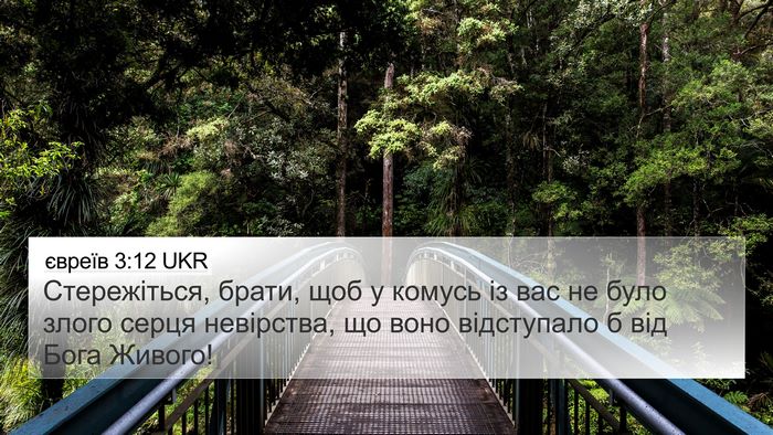 євреїв 3:12 UKR Bible Verse Image