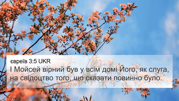 євреїв 3:5 UKR Bible Verse Image