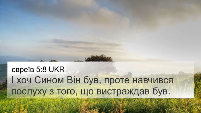 євреїв 5:8 UKR Bible Verse Image
