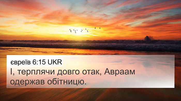 євреїв 6:15 UKR 4K Wallpaper - І, терплячи довго отак, - 4K Wallpaper Bible Verse