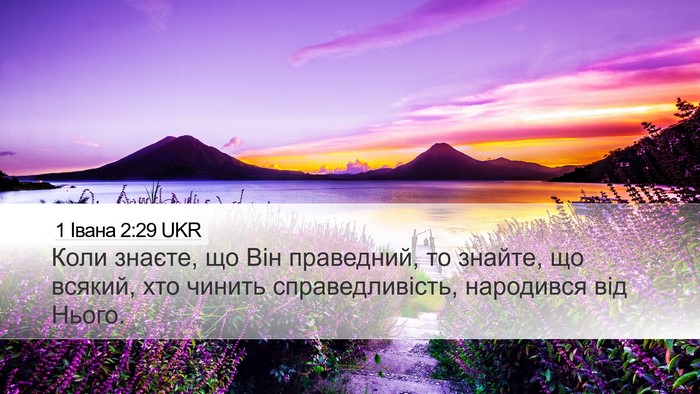 1 Івана 2:29 UKR Bible Verse Image