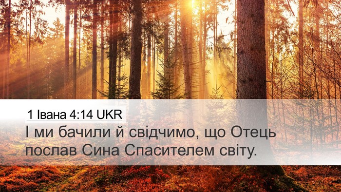 1 Івана 4:14 UKR Bible Verse Image
