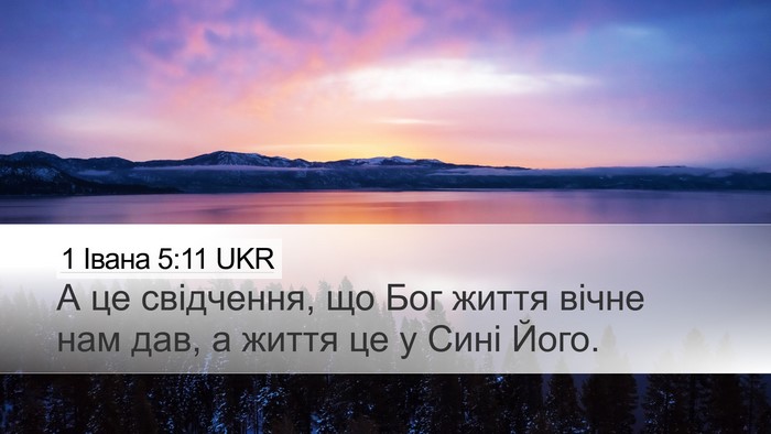 1 Івана 5:11 UKR Bible Verse Image