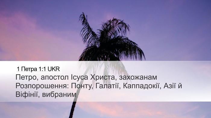1 Петра 1:1 UKR Bible Verse Image