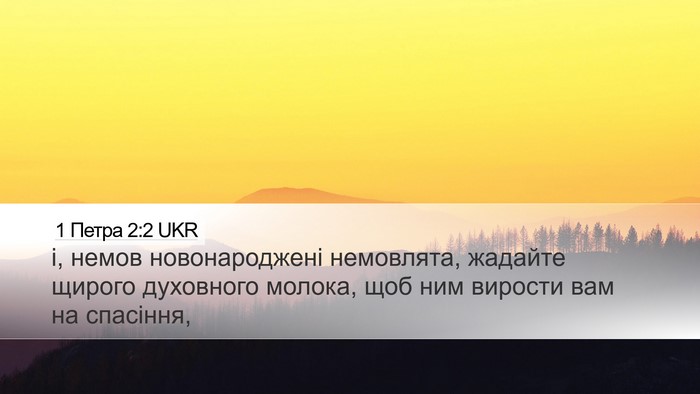 1 Петра 2:2 UKR Desktop Wallpaper - і, немов новонароджені - Desktop Bible Verse Wallpaper