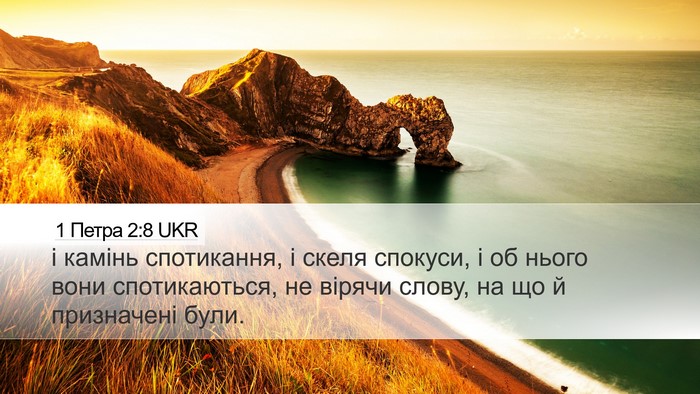 1 Петра 2:8 UKR Bible Verse Image