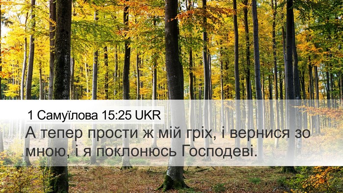 1 Самуїлова 15:25 UKR Desktop Wallpaper - А тепер прости ж мій гріх, і - Desktop Bible Verse Wallpaper