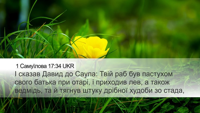 1 Самуїлова 17:34 UKR Bible Verse Image