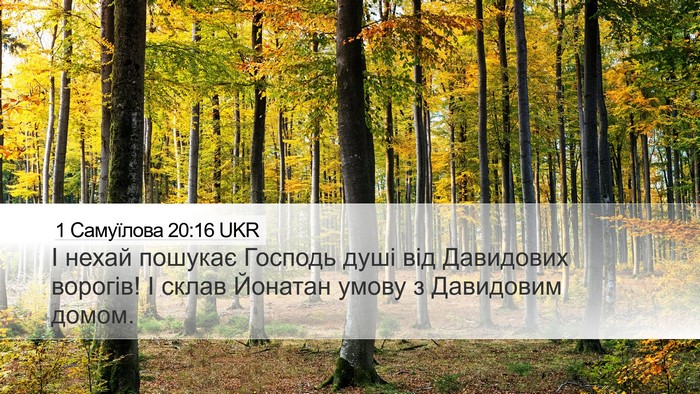 1 Самуїлова 20:16 UKR Bible Verse Image