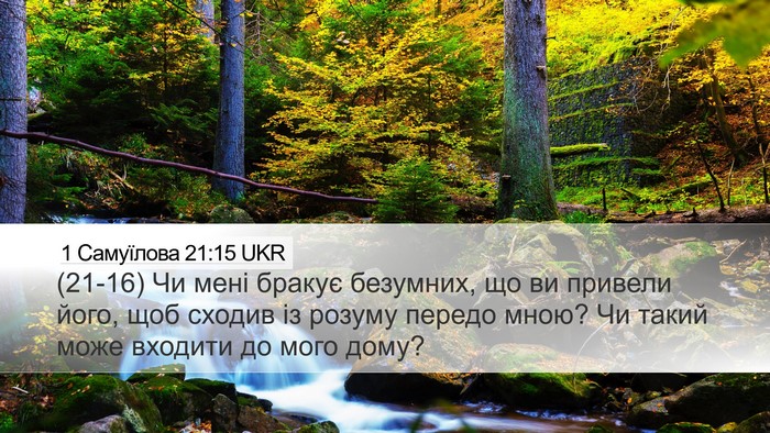 1 Самуїлова 21:15 UKR Desktop Wallpaper - (21-16) Чи мені бракує - Desktop Bible Verse Wallpaper