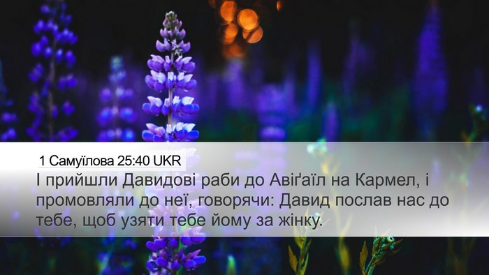 1 Самуїлова 25:40 UKR Desktop Wallpaper - І прийшли Давидові раби до - Desktop Bible Verse Wallpaper