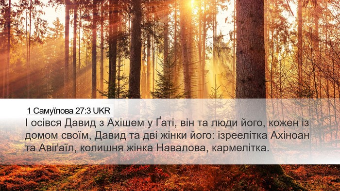 1 Самуїлова 27:3 UKR Bible Verse Image