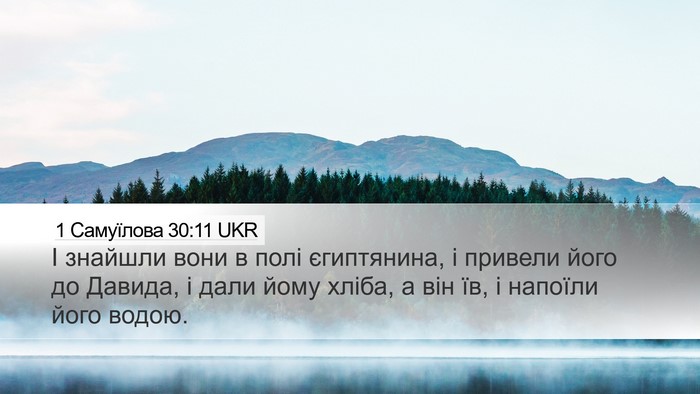 1 Самуїлова 30:11 UKR Bible Verse Image