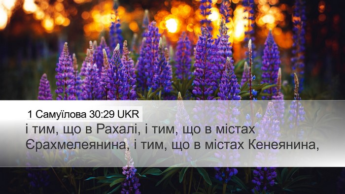 1 Самуїлова 30:29 UKR Desktop Wallpaper - і тим, що в Рахалі, і тим, що - Desktop Bible Verse Wallpaper