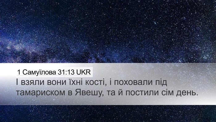 1 Самуїлова 31:13 UKR Desktop Wallpaper - І взяли вони їхні кості, і - Desktop Bible Verse Wallpaper
