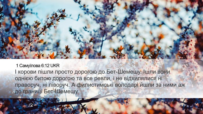 1 Самуїлова 6:12 UKR Bible Verse Image