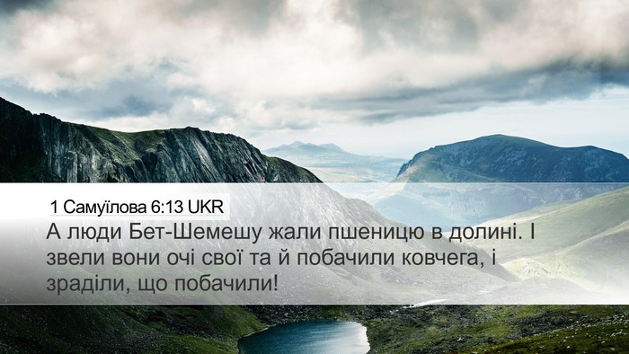 1 Самуїлова 6:13 UKR Desktop Wallpaper - А люди Бет-Шемешу жали - Desktop Bible Verse Wallpaper