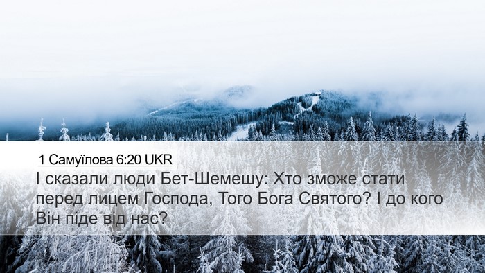 1 Самуїлова 6:20 UKR Bible Verse Image