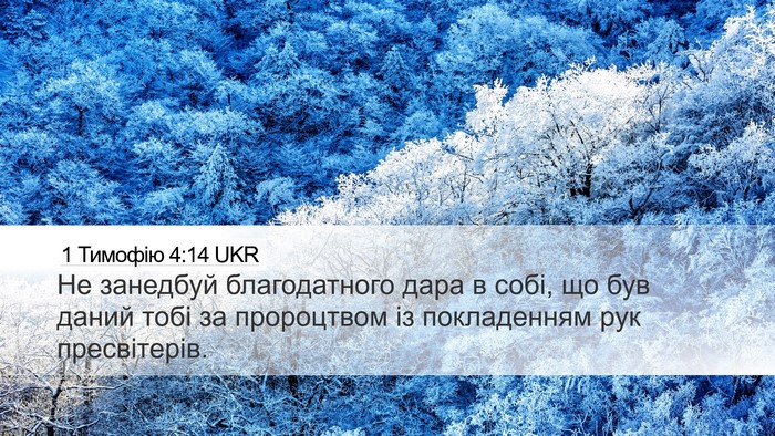 1 Тимофію 4:14 UKR Bible Verse Image